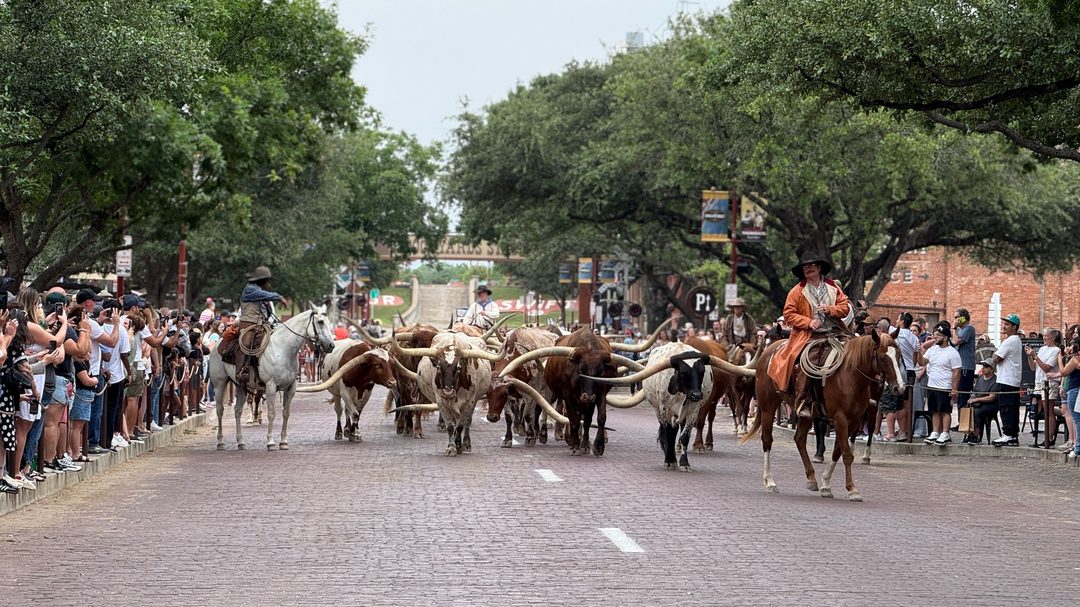 Dallas destination image