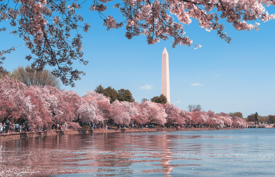 Washington, D.C. & Baltimore destination image